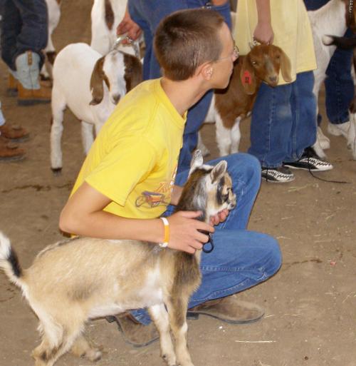 Boy kneeling beside pygmy goat.